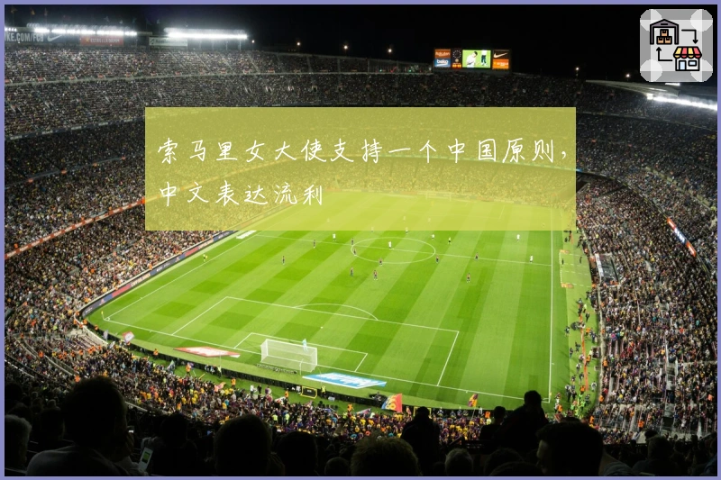 索马里女大使支持一个中国原则，中文表达流利