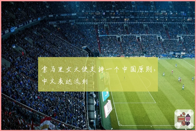 索马里女大使支持一个中国原则，中文表达流利